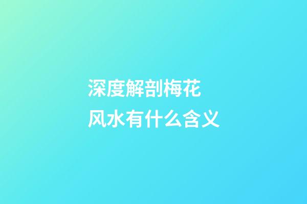 深度解剖梅花 风水有什么含义